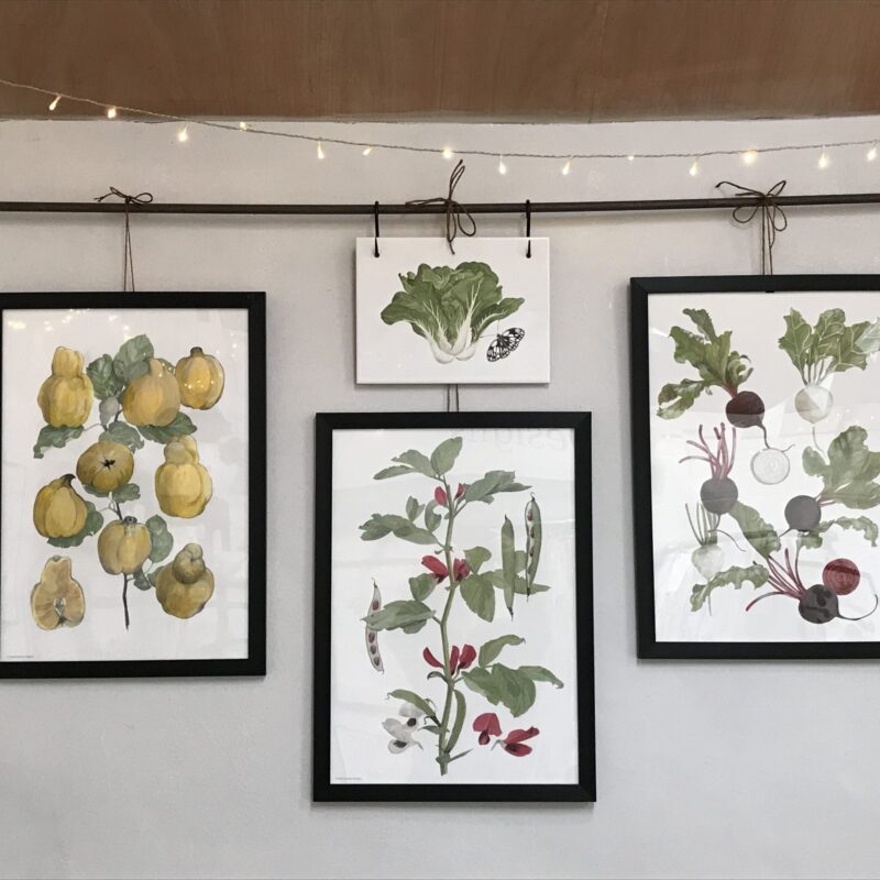 Vegetable and Fruit Art Prints