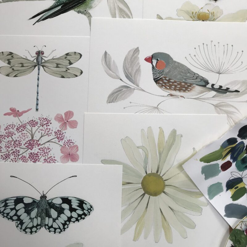 Bird and Insect Art Prints