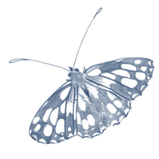 Holly Lasseter Designs logo