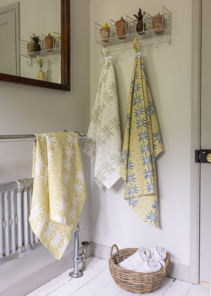 Holly Lasseter Aster 3