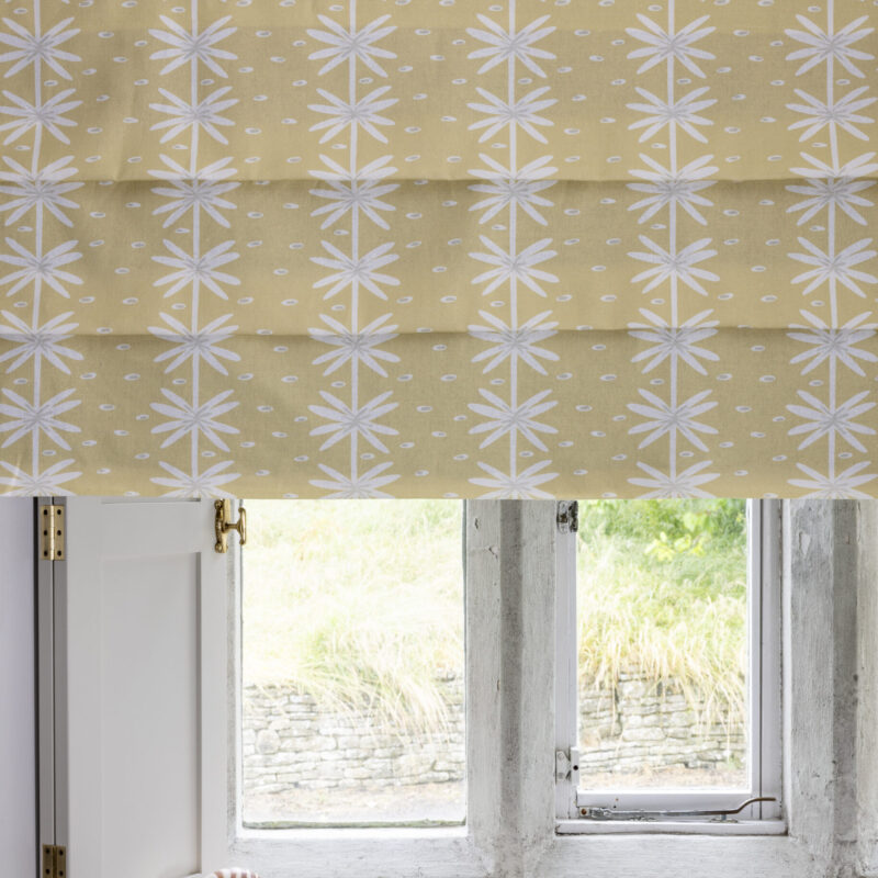 Aster Stone on Straw