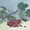 Redcurrants oil on canvas board (Unframed) 25.2 x 20.2 cm