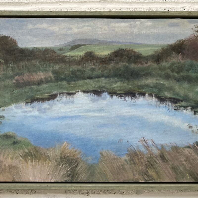 Dew Pond, south towards Portland Bill. Oil on canvas board. Framed 62.5x39cm