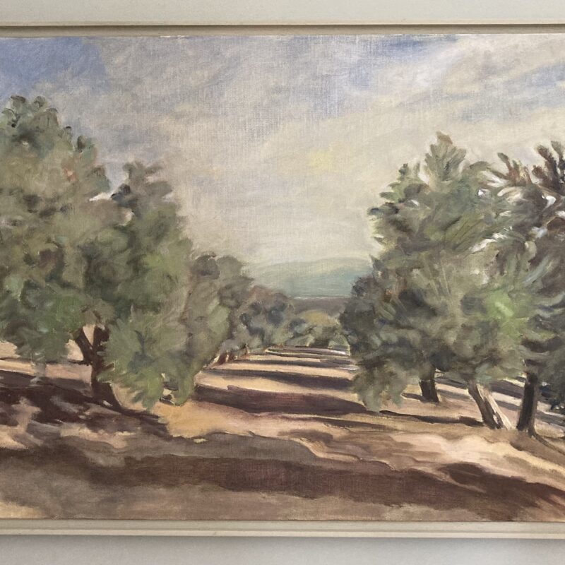 SOLD The Olive Grove, Baeza, Southern Spain. Oil on canvas board. SOLD
